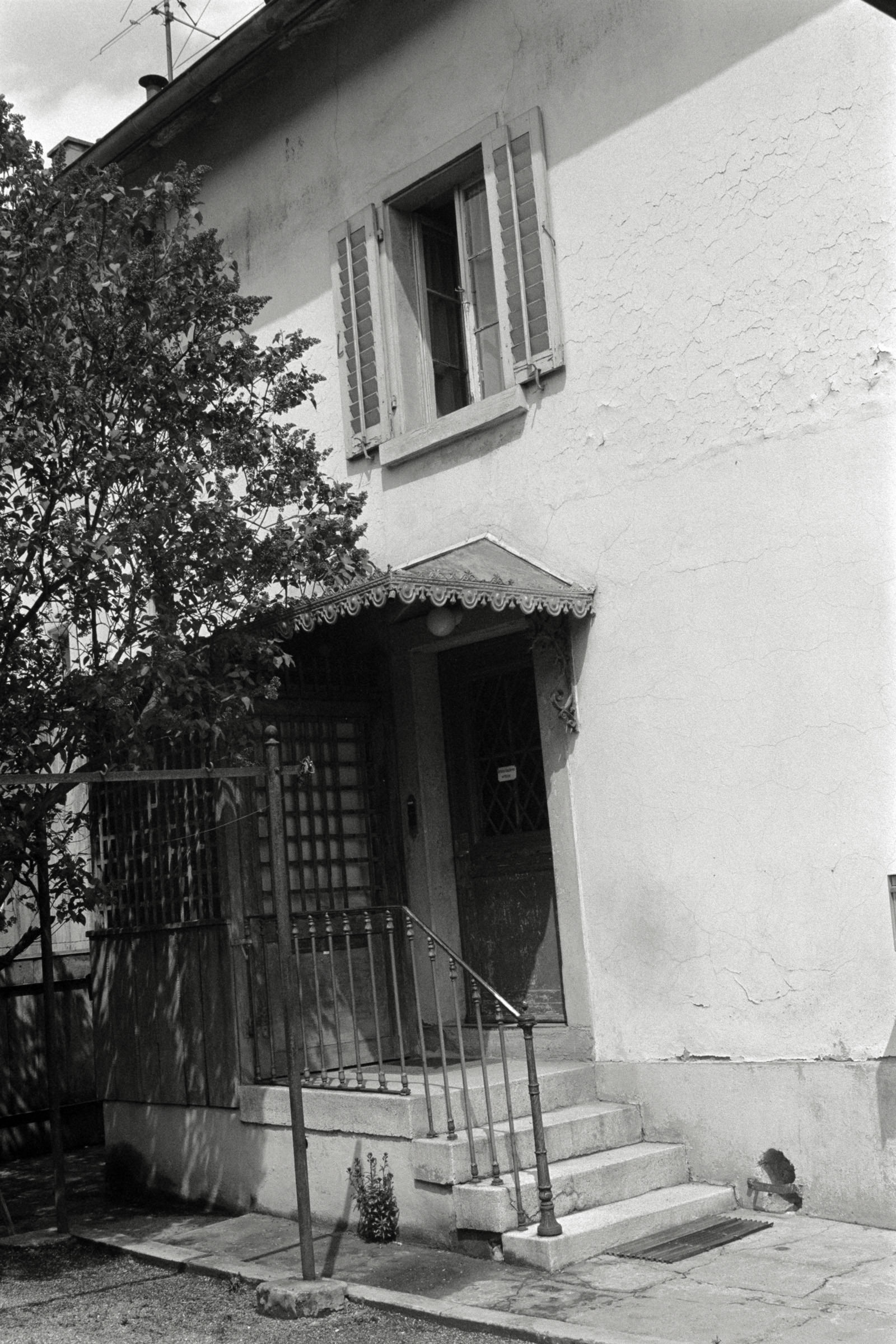 AHP F1992 04 002 sc250507 img17 NLP